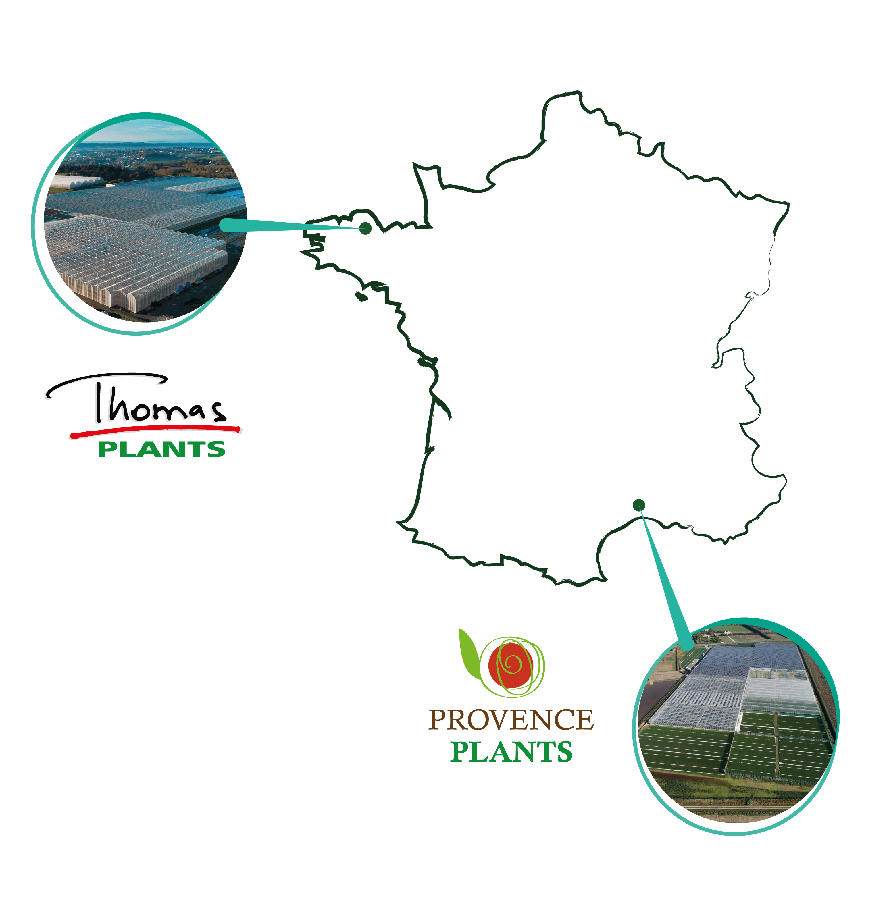 Carte sites de production Thomas Plants et Provence Plants