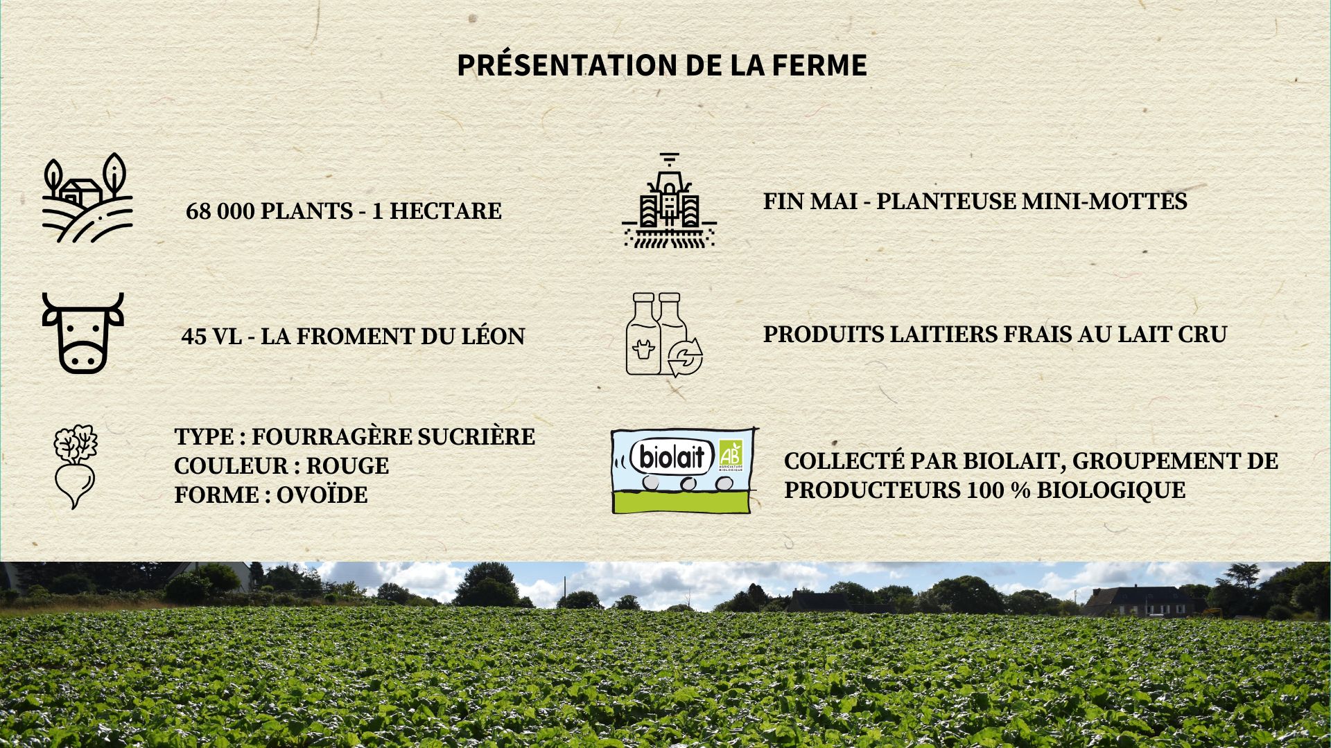 Présentation de la Ferme du Wern