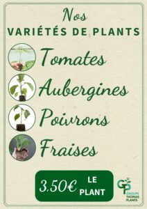 Vente Provence Plants_Mai2023_carte prix
