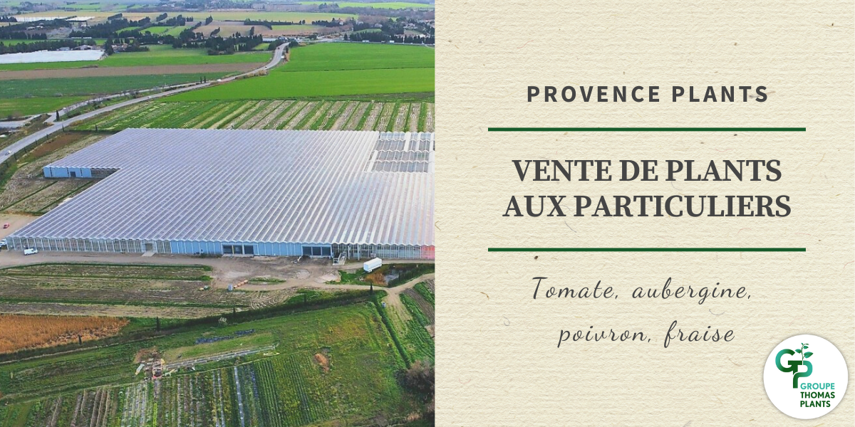 Vente de plants aux particuliers Provence Plants